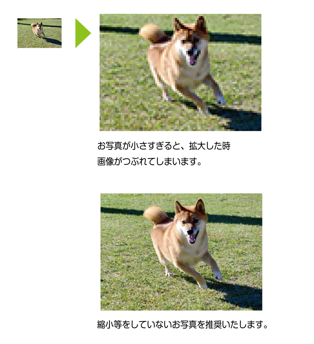 注文方法